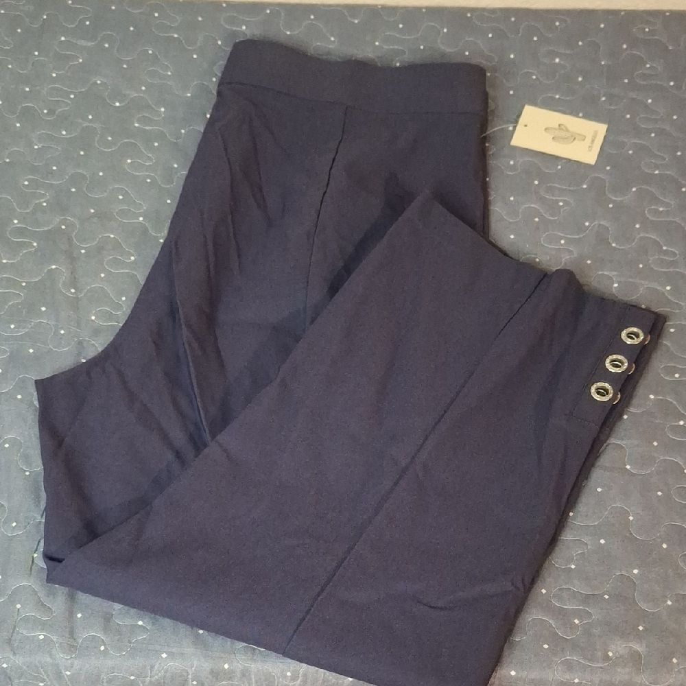 Cactus + Pearl Purple Cropped Pants with Button Detail size large NWT